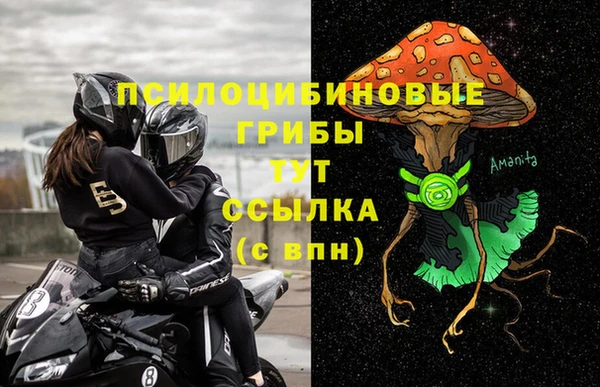 прущая мука Абаза