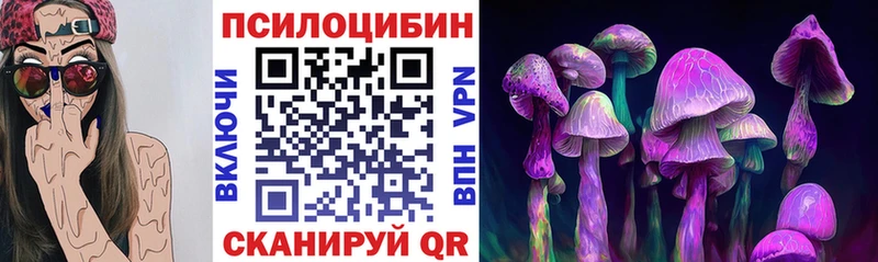 где найти наркотики  Алдан  Псилоцибиновые грибы ЛСД 
