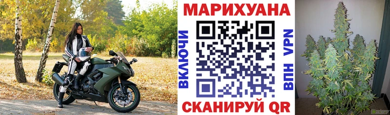 Шишки марихуана семена  Алдан 